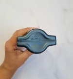 شامپو ضد ریزش آلپسین Caffeine C1 - Image 2